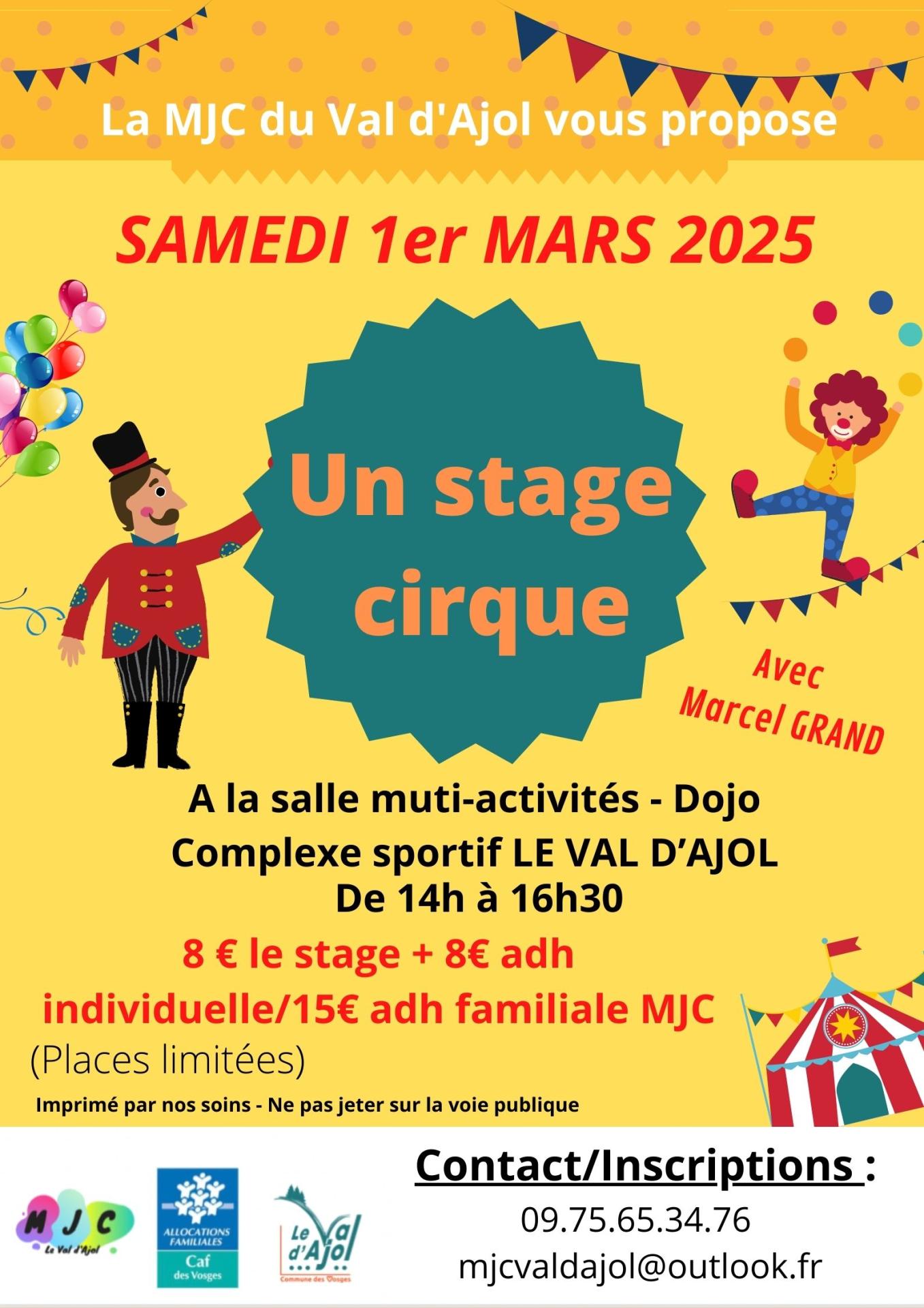 Copie de affiche stage cirque